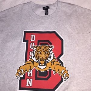 Gray sweater (Boston)